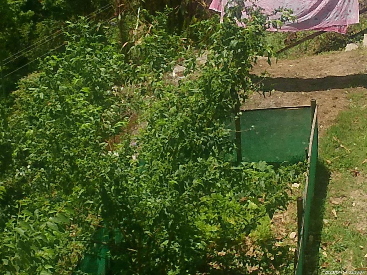 Mountain View Homestay Kalimpong Luaran gambar
